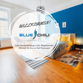Blue Chili 02 - MD Zentral City Carré Wlan